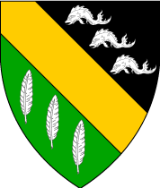 Arms Image